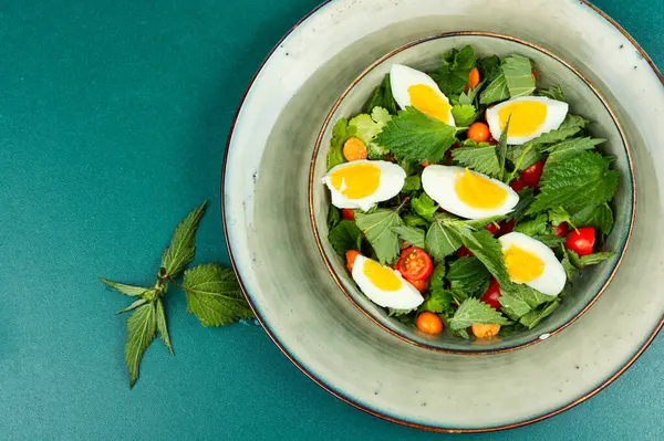 Isırgan Otlu Yeşil Salata Domates Yumurta Ukrayna Yemeği Boşluğu Kopyala Telifsiz Stok Fotoğraflar
