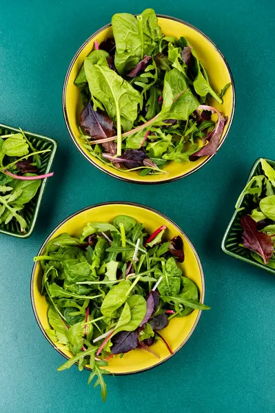 Вегетарианский Салат Свежей Весенней Зелени Трав Тарелке Плоский Лежал Стоковое Изображение