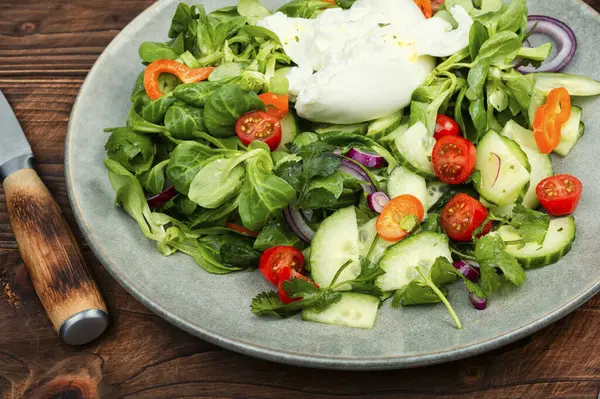 Vegetable Dietary Salad Leafy Greens Tomatoes Cucumbers Peppers Burrata Cheese Stok Fotoğraf