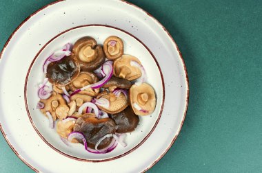 Tabakta tuzlanmış mantar. Ev yapımı mantar turşusu. Boşluğu kopyala.