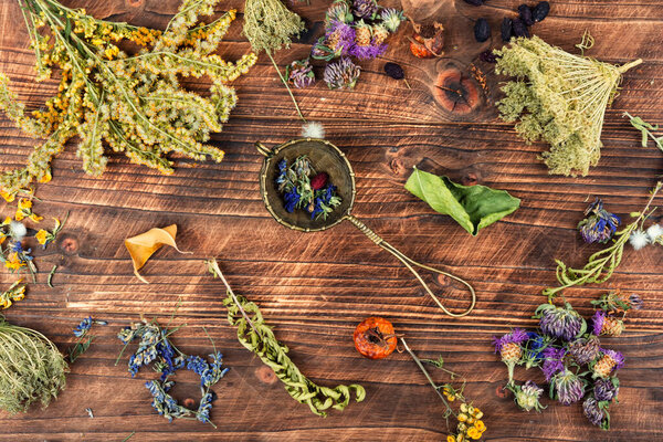 Teapot, cup and medicinal herbs on rustic wooden table. Herbal medicine, tea time. Rustic style.