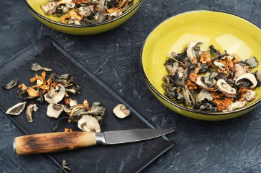 Beton bir mutfak masasında çeşitli kurutulmuş mantarlar. Kurutulmuş mantar hazırlama.