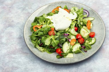 Narin yeşil salata, domates, salatalık, biber ve Burrata peyniri. İtalyan taze Burrata peyniri.