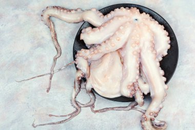 Taze çiğ ahtapot. Sağlıklı yiyecekler, Akdeniz diyeti ve deniz ürünleri kavramını. Üst görünüm.