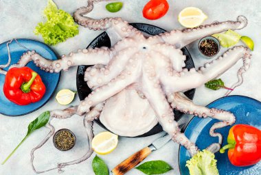 Tam çiğ ve taze ahtapot ve pişirmek için malzemeler..