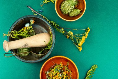 Bitkisel ilaçlar. Şifalı bitkiler. Şifalı bitkiler.