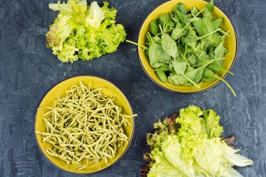 İtalyan mutfağı vejetaryen yemeği üzerine ıspanak konmuş Conchiglie makarna. Üst görünüm.