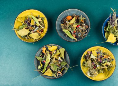 Homeopati: kurumuş otları ve çiçekleri kapatın. Doğal ilaçlar..