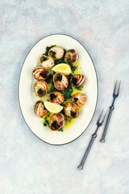 Sos ile pişirilmiş salyangozlar, salyangoz salyangozlar, Fransız mutfağı konsepti, gurme yemekleri..