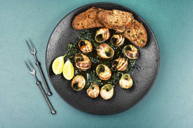 İspanyol yemeği, soslu salyangoz, salyangoz yağı. Üst görünüm.