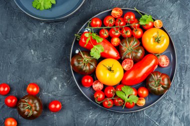 Olgun domateslerin çeşitli çeşitleri. Bir tabak renkli domates ve vişneli domates..
