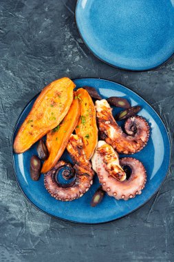 Lezzetli ızgara ahtapot aromatik tatlı patates veya yer elması ile servis edilir. Kızarmış ahtapot. Düz yatıyordu