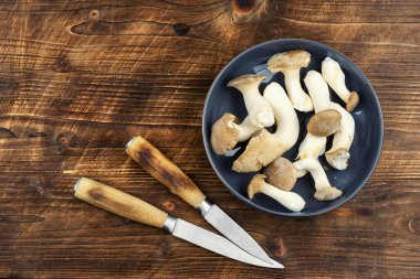 Çiğ orman ender bulunan lezzetli, yenilebilir mantarlar..