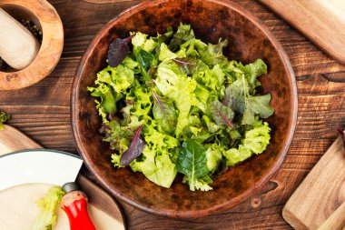 Sağlıklı beslenme: taze yeşil salata.