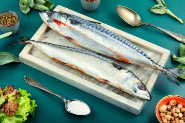 Taze uskumru balığı ya da pişmemiş Atlantik uskumrusu.