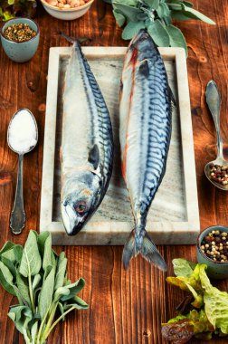 Taze uskumru balığı ya da pişmemiş Atlantik uskumrusu.