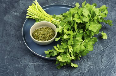 Taze organik aromatik ve aşçılık bitkileri kişniş ve kurutulmuş kişniş yaprakları.