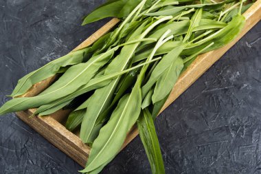 Taze durulanmış rampalar ya da masada yabani soğan. Allium ursinum.