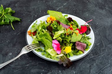 Yenilebilir çiçekli taze gurme salatası, beton mutfak masasında karışık yapraklı yeşiller..