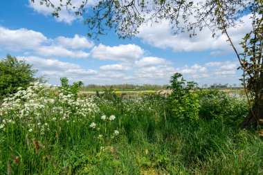 Zamanın durduğu büyüleyici Hollanda kırsalını tecrübe etmek için. Bereketli yeşil otlakların arka planı, cennet manzaraları ve sakin güzellik ve eski çağın cazibesi..