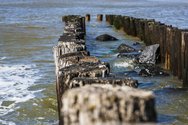 Wooden breakwater poles form a linear pattern, extending into the sea, creating a captivating scene of maritime beauty and natural structure.