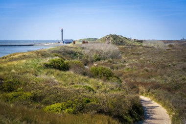 Dolambaçlı bir yol, Westkapelle yakınlarındaki sahil boyunca uzanır. Açık mavi bir gökyüzü gününde, doğanın güzelliği ve denizin huzur verici sesi arasında huzurlu bir yolculuk sunar..