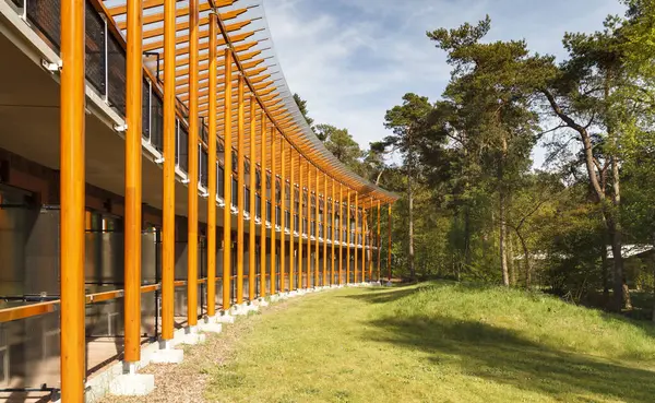 モダンな木造建築は自然と田舎の環境をシームレスに統合し 静かな風景の中で自然と現代的なデザインを調和させます ストック写真