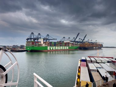 Felixstowe, İngiltere - 4 Eylül 2024: MSC ve Evergreen konteynır gemisi sabahın erken saatlerinde Felixstowe 'a yanaştı, yükleri indiren vinçler.
