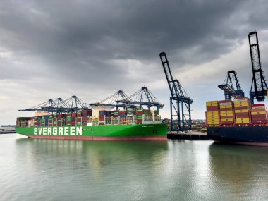 Felixstowe, İngiltere - 4 Eylül 2024: MSC konteyner gemisi Felixstowe 'a yanaştı. Sakin liman atmosferi büyük gemiyle çelişiyor..