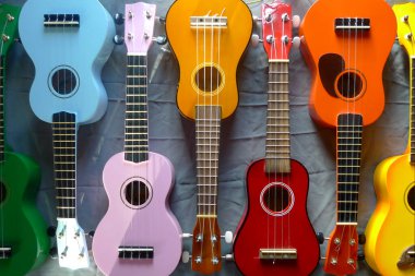 Değişik parlak renklerde parlak ukulelelerden oluşan canlı bir sıra, çarpıcı bir şablon oluşturmak için düzgünce dizilmiş. Neşeli düzenleme, bu enstrümanların neşeli ve müzikal cazibesini vurguluyor..