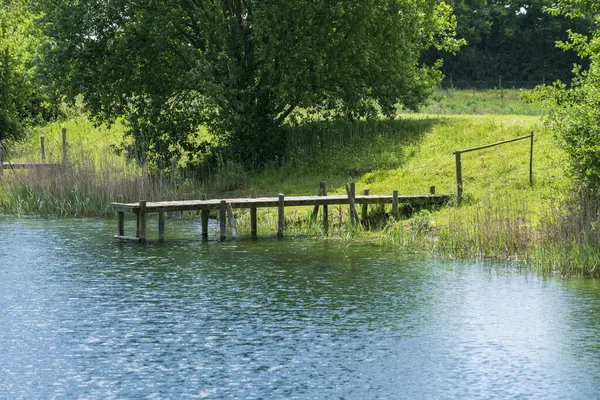 Sakin bir ahşap iskele heybetli bir gölün durgun sularına uzanıyor. Doğanın sessiz güzelliği huzur, yalnızlık ve derin düşüncelere davetiye çıkarır..