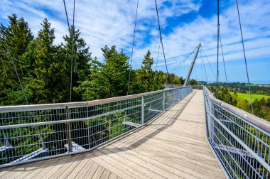 Ağacın tepesindeki patika manzarası ve güzel dağ manzarası - Alplerdeki Skywalk - Scheidegg, Bavyera, Almanya 'da seyahat noktası -