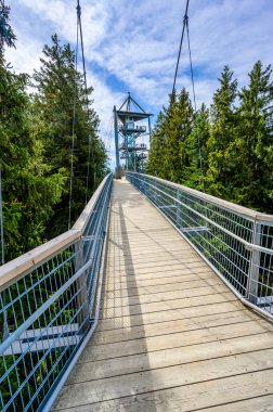 Ağacın tepesindeki patika manzarası ve güzel dağ manzarası - Alplerdeki Skywalk - Scheidegg, Bavyera, Almanya 'da seyahat noktası -