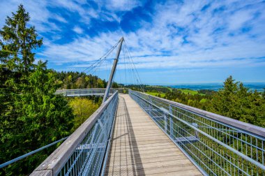 Ağacın tepesindeki patika manzarası ve güzel dağ manzarası - Alplerdeki Skywalk - Scheidegg, Bavyera, Almanya 'da seyahat noktası -