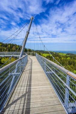 Ağacın tepesindeki patika manzarası ve güzel dağ manzarası - Alplerdeki Skywalk - Scheidegg, Bavyera, Almanya 'da seyahat noktası -