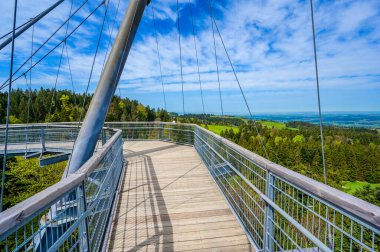 Ağacın tepesindeki patika manzarası ve güzel dağ manzarası - Alplerdeki Skywalk - Scheidegg, Bavyera, Almanya 'da seyahat noktası -