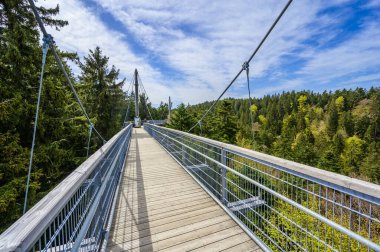 Ağacın tepesindeki patika manzarası ve güzel dağ manzarası - Alplerdeki Skywalk - Scheidegg, Bavyera, Almanya 'da seyahat noktası -