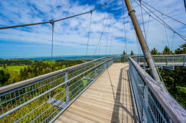 Ağacın tepesindeki patika manzarası ve güzel dağ manzarası - Alplerdeki Skywalk - Scheidegg, Bavyera, Almanya 'da seyahat noktası -
