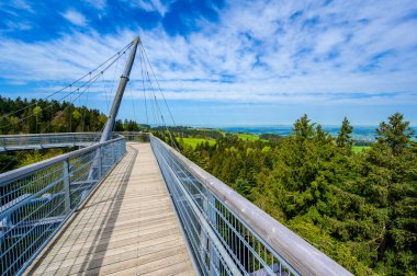Ağacın tepesindeki patika manzarası ve güzel dağ manzarası - Alplerdeki Skywalk - Scheidegg, Bavyera, Almanya 'da seyahat noktası -