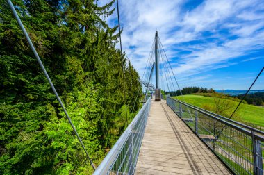 Ağacın tepesindeki patika manzarası ve güzel dağ manzarası - Alplerdeki Skywalk - Scheidegg, Bavyera, Almanya 'da seyahat noktası -