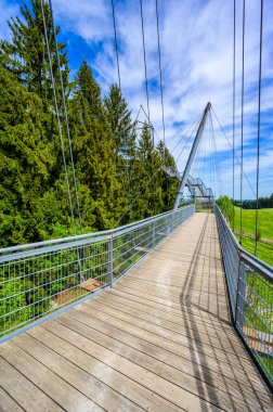 Ağacın tepesindeki patika manzarası ve güzel dağ manzarası - Alplerdeki Skywalk - Scheidegg, Bavyera, Almanya 'da seyahat noktası -