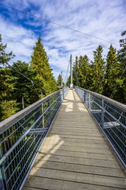 Ağacın tepesindeki patika manzarası ve güzel dağ manzarası - Alplerdeki Skywalk - Scheidegg, Bavyera, Almanya 'da seyahat noktası -