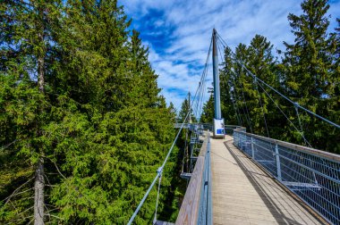 Ağacın tepesindeki patika manzarası ve güzel dağ manzarası - Alplerdeki Skywalk - Scheidegg, Bavyera, Almanya 'da seyahat noktası -