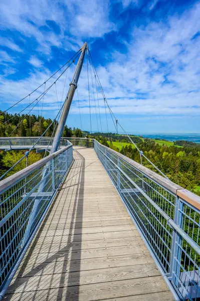 Ağacın tepesindeki patika manzarası ve güzel dağ manzarası - Alplerdeki Skywalk - Scheidegg, Bavyera, Almanya 'da seyahat noktası -