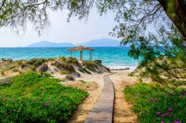 Tam Tam Beach - beautiful coast scenery with paradise beach on island Kos - travel destination in Greece, Europe clipart