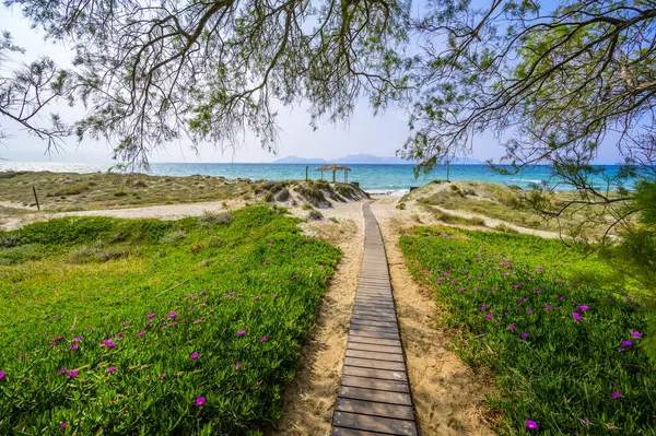 stock image Tam Tam Beach - beautiful coast scenery with paradise beach on island Kos - travel destination in Greece, Europe