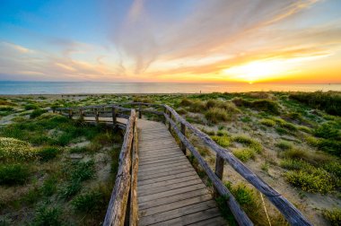 Gün batımında Tahta Yürüyüş Cennete Giden Sahil - Toskana - İtalya 'da Seyahat Varış Yeri