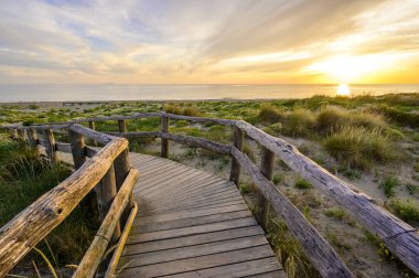 Gün batımında Tahta Yürüyüş Cennete Giden Sahil - Toskana - İtalya 'da Seyahat Varış Yeri