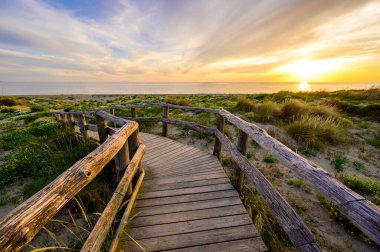 Gün batımında Tahta Yürüyüş Cennete Giden Sahil - Toskana - İtalya 'da Seyahat Varış Yeri