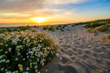 Gün batımında cennet kumsalı - Toskana - İtalya 'da seyahat noktası